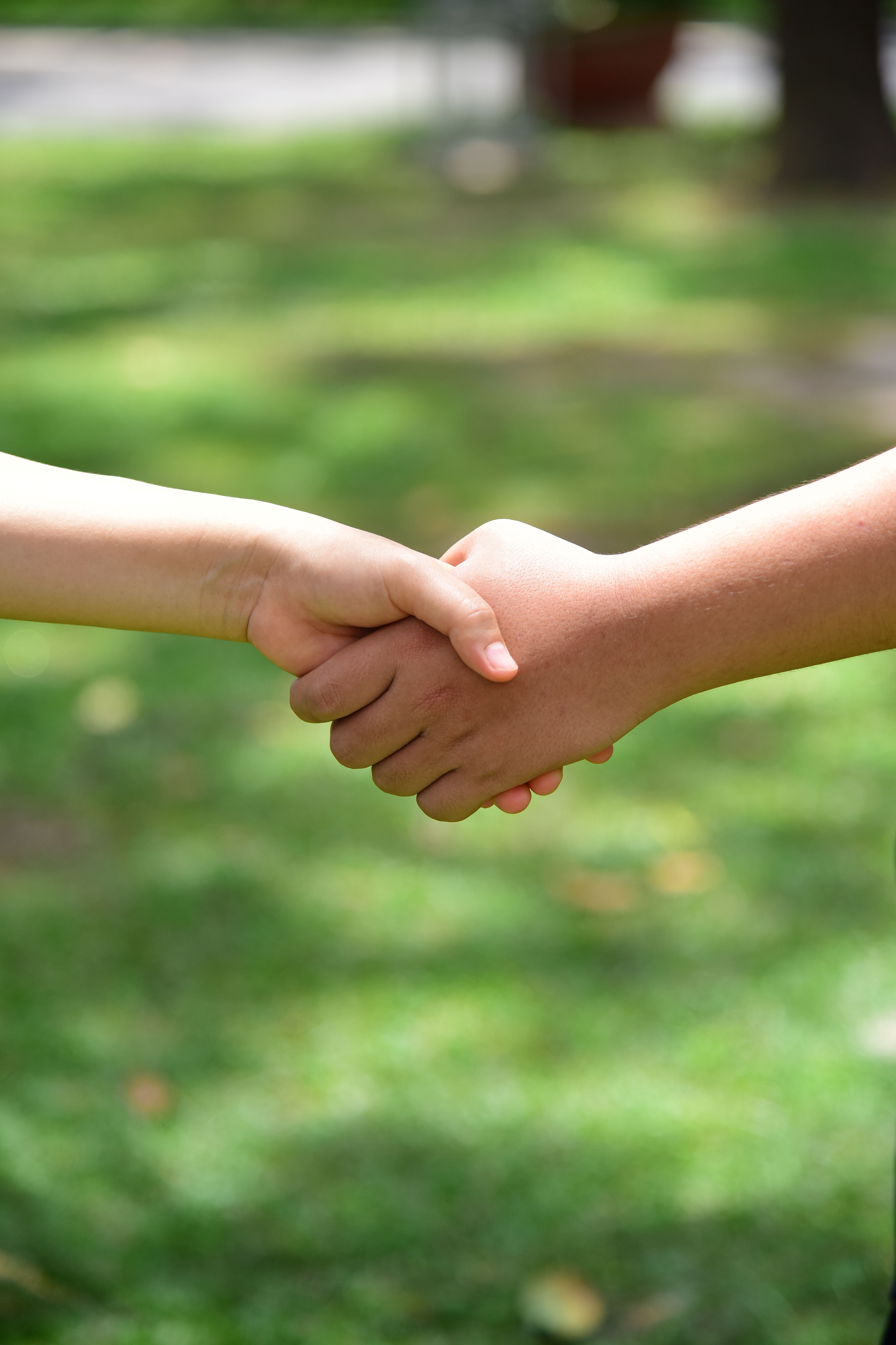Our Promise